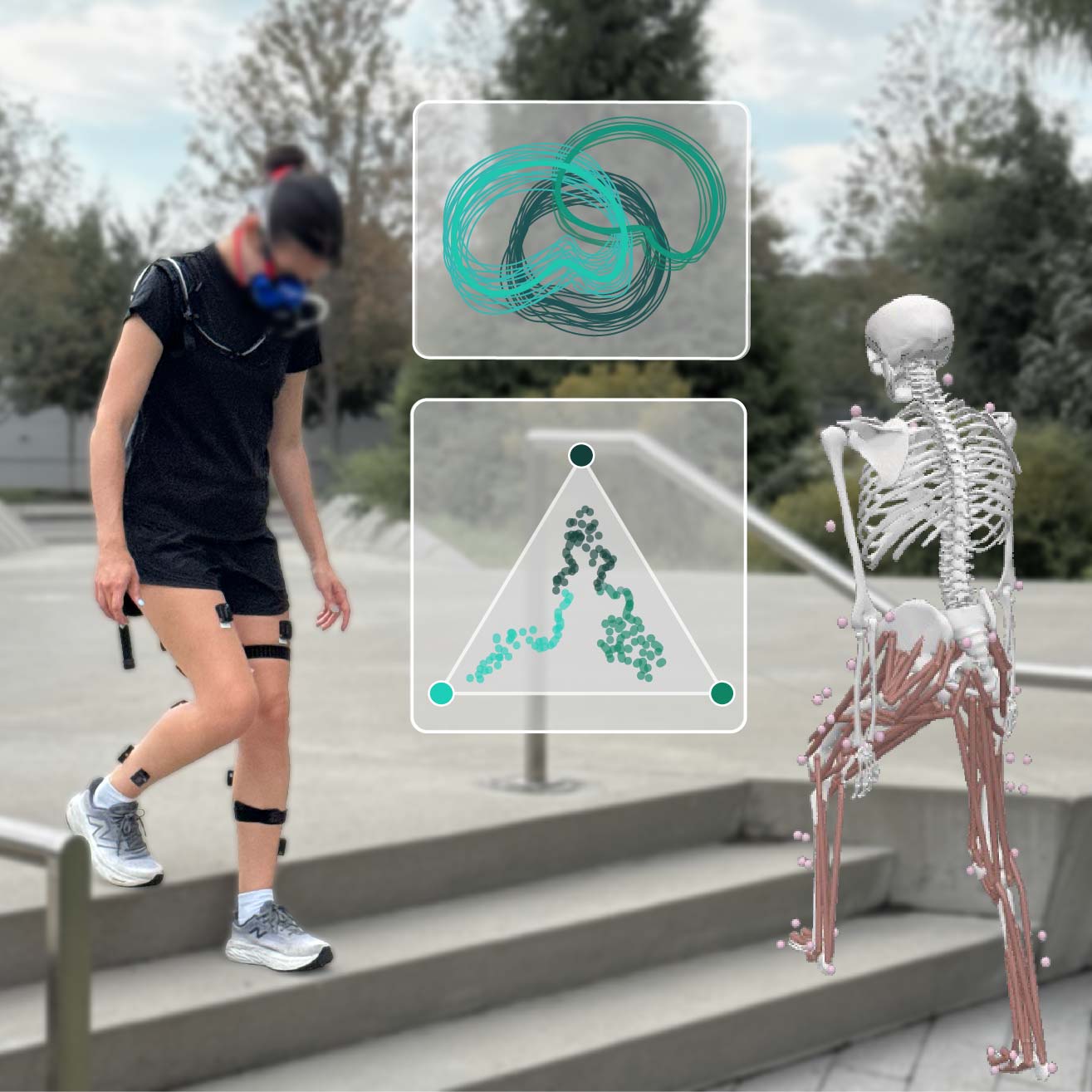 Person descending outdoor stairs with wearable sensors on legs and face, beside a musculoskeletal model ascending stairs and inset plots of movement dynamics and shifting control priorities.