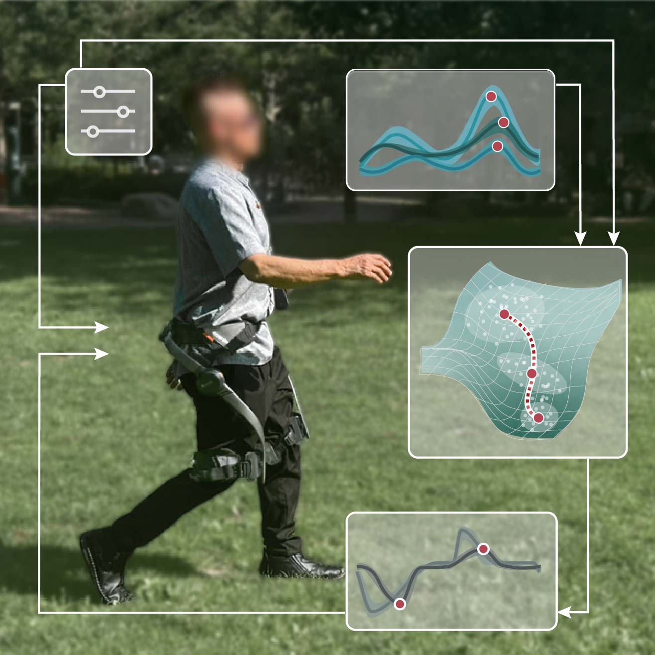 Person walking outdoors in a hip exoskeleton, with arrows tracing a human-in-the-loop optimization cycle: assistance settings, measured responses, an optimization landscape, and updated torque profiles.